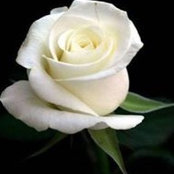 Denise Miller's photo