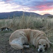Sarabecca Barnett's photo