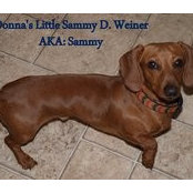 Sammy D. Weinerさんの写真