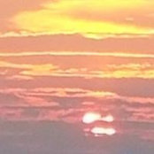 Foto von Donna Stankiewicz