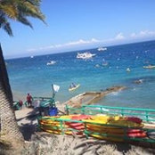Glenna McVey's photo