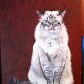 Foto von Michelle Wetherill