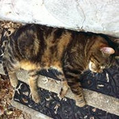 Steven Roy's photo