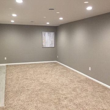 Ryan Rd Basement - Living Area