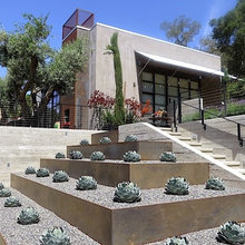 Landscaping ideas