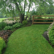 Backyard Ideas