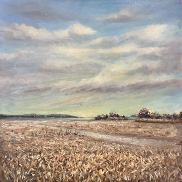 Landscapes