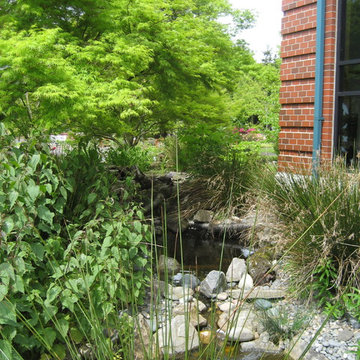 Water Resources Education Center Backyard Wildlife Garden