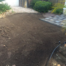 Morales Front Yard Work In Progress