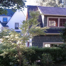shed dormer