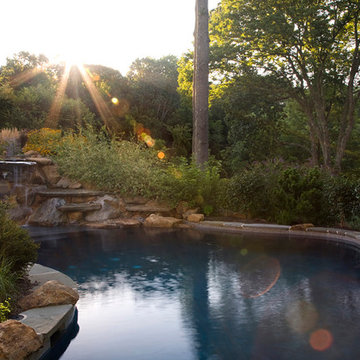Pool and Fountain Gallery
