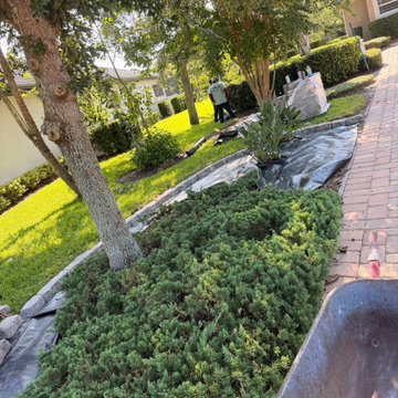 Large Landscape Transformation