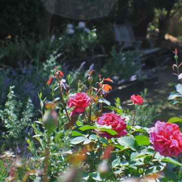 Coastal Cottage Garden