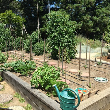 Redwood Garden & Lawn Replacement