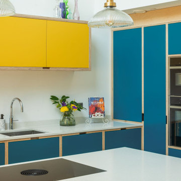 Blue Plywood Kitchen