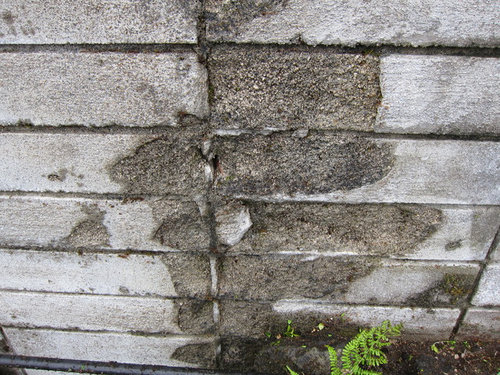 Help Moss Is Eating My Cinder Block Retaining Wall - How To Fix Cement Block Wall