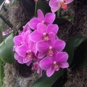Betsy Utnick's photo