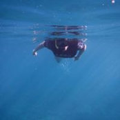 Robyn Gouws's photo