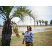 Dilip Chakraborty's photo