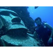 Tom Williams's photo