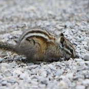 Florian Niessner's photo