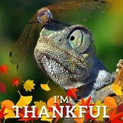 Barbie Wagner's photo