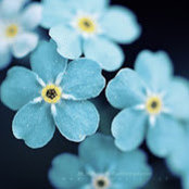 April Raffay's photo