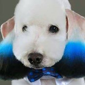 Jennifer Farlane's photo