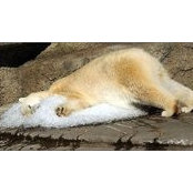 Jack Calderon's photo
