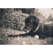 Tracey Hageman's photo