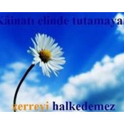 Foto de Zehra Sarı
