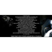 Elli Nova's photo