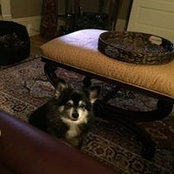 Suzanne Harrell's photo