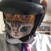 Ben Bot's photo