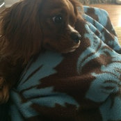 Kayla Lovgren's photo