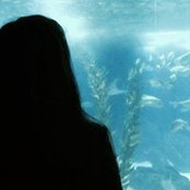 Ana Silva's photo