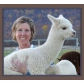 Sarah Donahoe's photo