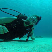 Nikolas Palladino's photo