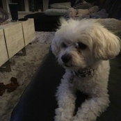 Mark Tresp's photo