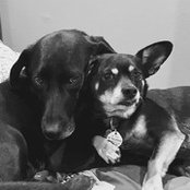 Foto von Danielle Lynn