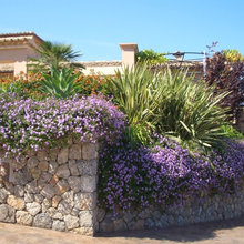 CDV Garden