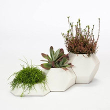 Decor