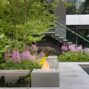 Forest Hill Modern Backyard