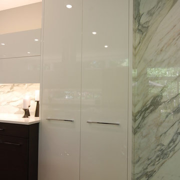 Contemporary Kitchen Remodel in Riverwoods, IL