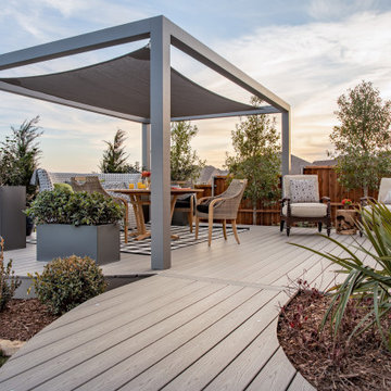 Backyard Living