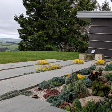 Sonoma Splendor