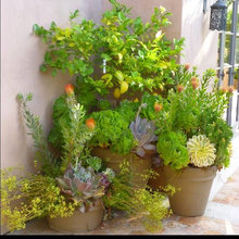 Gardening