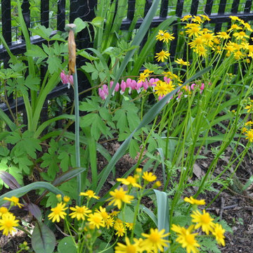 DIY Landscape - Woodland or Shade Gardening