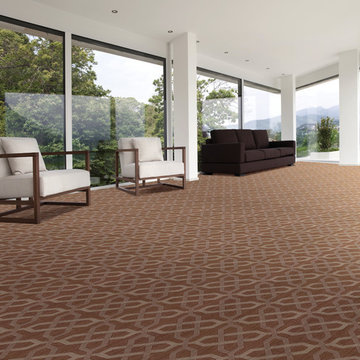 Nourison Carpets