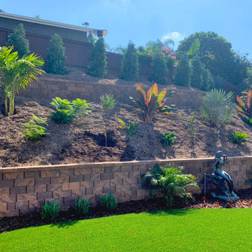 Carlsbad Tropical Oasis